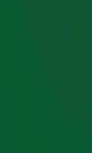 vert-plastic-standart-t-zeleniy