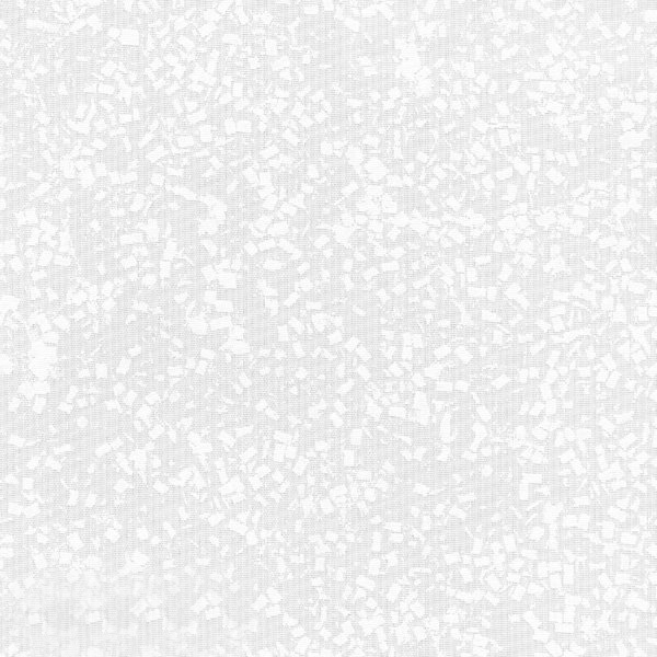 intro-beliy