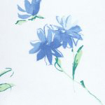 versal-goluboy 150x150 sm