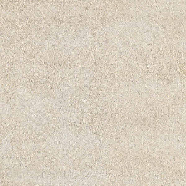 zamsha-magnolia
