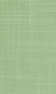 shantung-zeleniy 180x300 pc