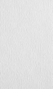 souz-01-beliy 180x300 pc