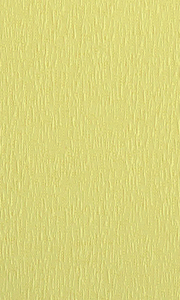 souz-01-bezhevij 180x300 pc