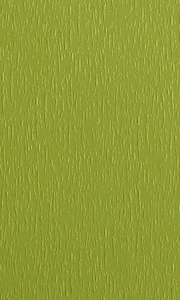 souz-01-zelenij 180x300 pc