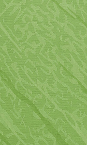 souz-03-zeleniy 180x300 pc