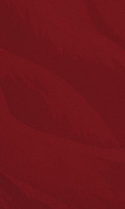 souz-07-krasniy 180x300 pc