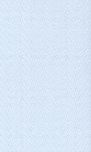 souz-09-goluboiy 180x300 pc