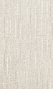 souz-10-bezheviy 180x300 pc